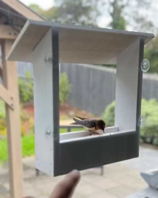 Mangeoire à oiseaux pour fenêtre